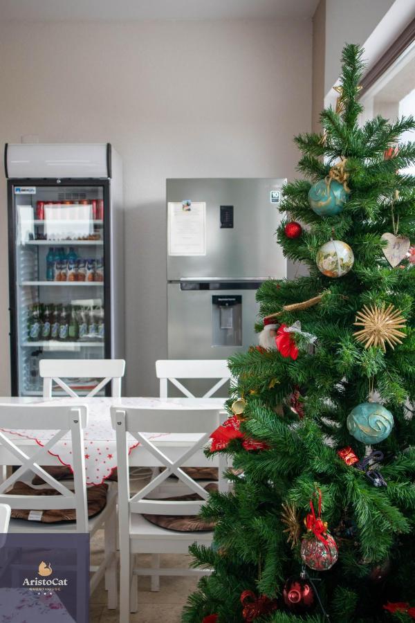 Aristocat Hotels Rasnov Екстер'єр фото