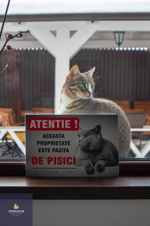 Aristocat Hotels Rasnov Екстер'єр фото