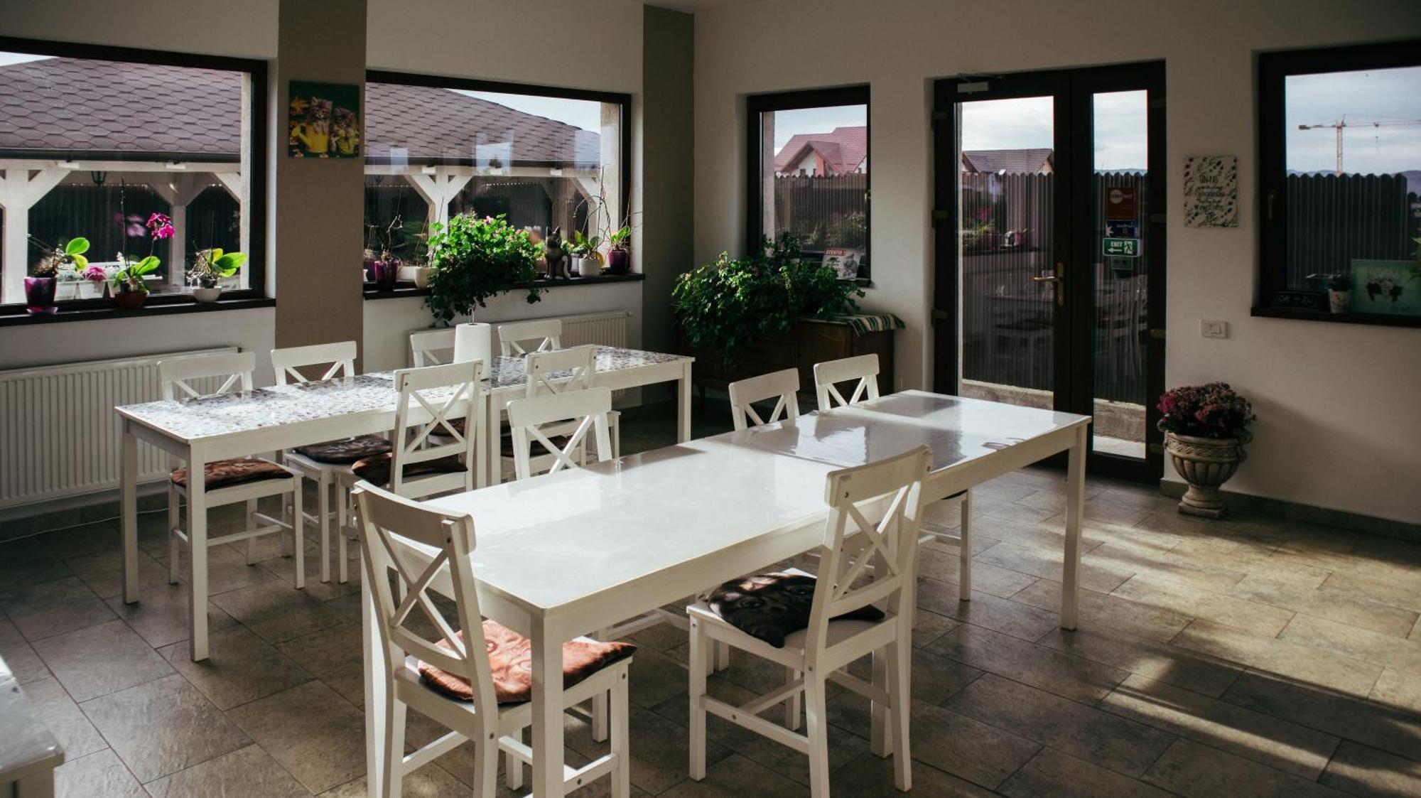 Aristocat Hotels Rasnov Екстер'єр фото