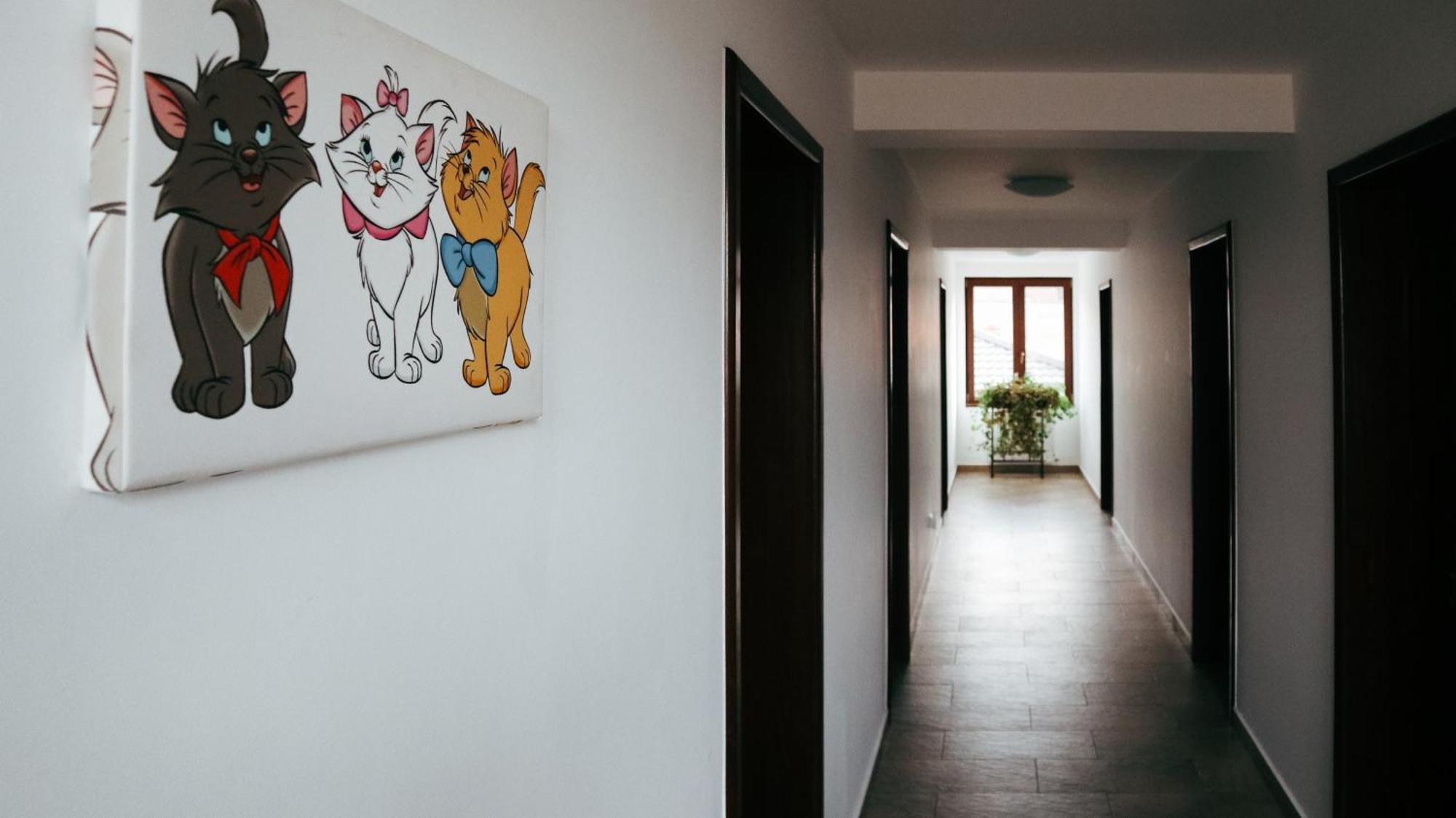 Aristocat Hotels Rasnov Екстер'єр фото